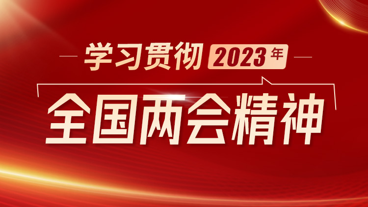 学习贯彻2023全国两会精神